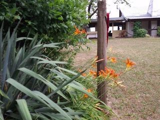 Vakantiehuis Welt Buitenaudio-opname 5