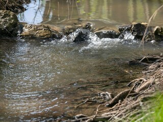 Casa de vacaciones Welt  22