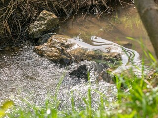 Vakantiehuis Welt  24