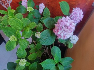 Casa de vacaciones Mokošica Grabación al aire libre 1