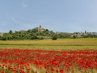 Maison de vacances Maria De La Salut Environnement 37