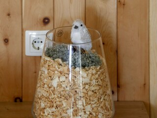 Appartement St. Georgen im Lavanttal  26