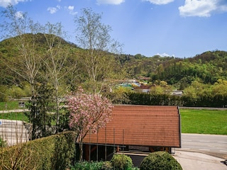 Apartment Pišece Außenaufnahme 9