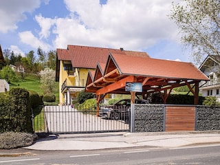 Apartment Pišece Außenaufnahme 9