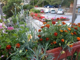 Apartment Sobra Outdoor Recording 10