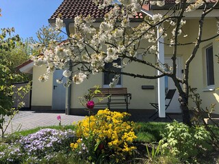 Appartement Dubrovnik  80