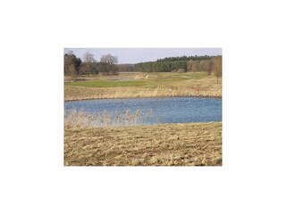 Appartement Dubrovnik  103