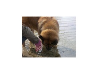 Appartement Dubrovnik  111