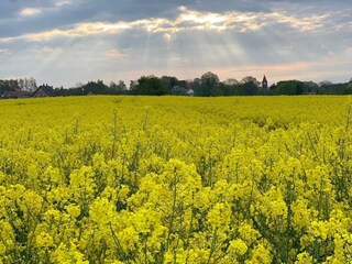 Appartement Dubrovnik  116