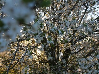 Apartamento Dubrovnik  118