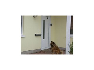 Apartamento Dubrovnik  154