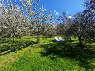Maison de vacances Radetići Enregistrement extérieur 2