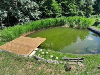 Appartement Laško Buitenaudio-opname 5