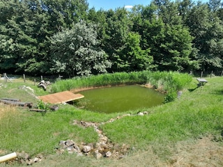 Apartment Laško Outdoor Recording 8
