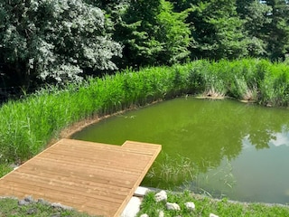 Appartement Laško Buitenaudio-opname 6