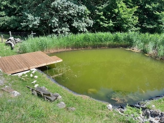 Apartment Laško Außenaufnahme 7
