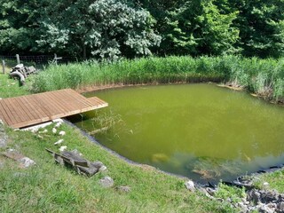 Appartement Laško Buitenaudio-opname 11