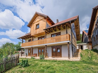 Apartment Laško Außenaufnahme 12