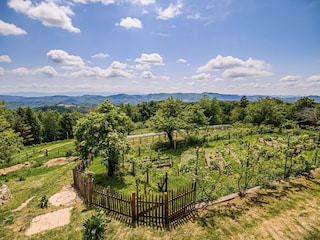 Apartment Laško Outdoor Recording 2