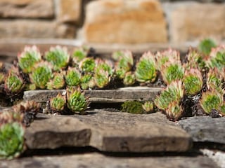 Apartment Oprtalj Outdoor Recording 4