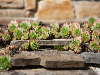 Appartement Oprtalj Enregistrement extérieur 4