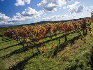 Appartement Oprtalj Enregistrement extérieur 6