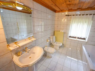 Casa per le vacanze Catez ob Savi Caratteristiche 42