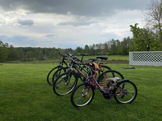 Ferienhaus Catez ob Savi Außenaufnahme 4