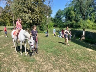 Ferienhaus Catez ob Savi Außenaufnahme 5