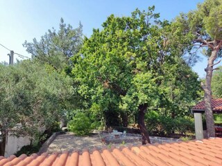 Apartment Novi Vinodolski Außenaufnahme 1