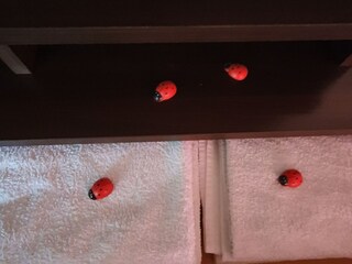 Appartement Senj Kenmerken 10