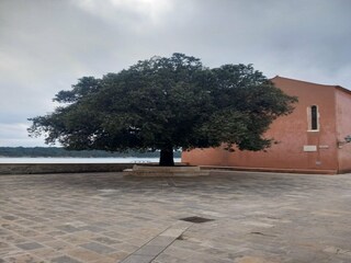 Appartement Supetarska Draga  25