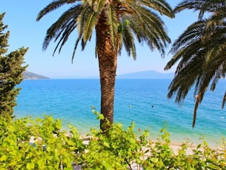 Apartment Brist Outdoor Recording 3