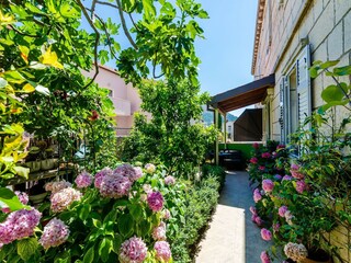 Apartment Dubrovnik Außenaufnahme 4