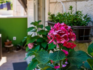 Apartment Dubrovnik Außenaufnahme 5