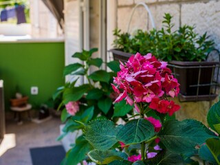 Appartement Dubrovnik Enregistrement extérieur 5