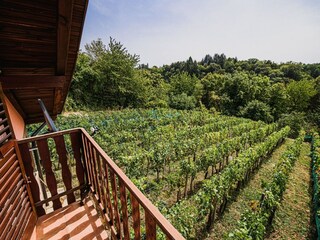 Casa per le vacanze Catez ob Savi Registrazione all'aperto 2