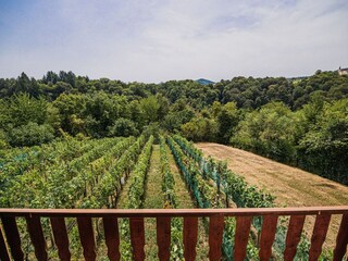 Maison de vacances Catez ob Savi Enregistrement extérieur 2