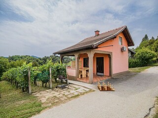 Holiday house Catez ob Savi Outdoor Recording 5