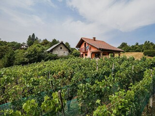 Maison de vacances Catez ob Savi Enregistrement extérieur 14