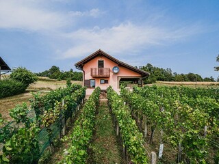 Casa per le vacanze Catez ob Savi Registrazione all'aperto 16