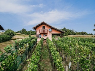 Ferienhaus Catez ob Savi Außenaufnahme 12