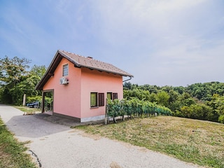 Ferienhaus Catez ob Savi Außenaufnahme 13