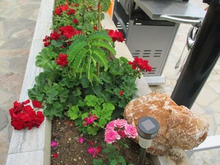 Villa Nemira Buitenaudio-opname 2