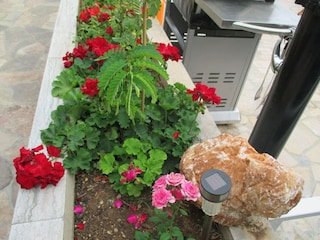 Villa Nemira Enregistrement extérieur 2