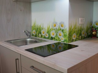 Appartement Kranjska Gora Kenmerken 5