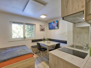 Appartement Kranjska Gora Kenmerken 13