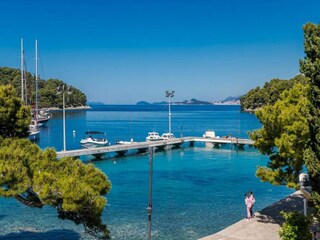 Apartment Cavtat Environment 18