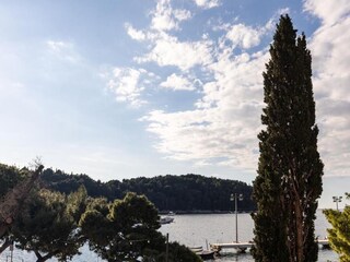 Apartment Cavtat Environment 34