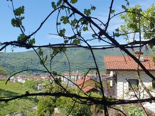 Apartamento Tolmin Grabación al aire libre 13